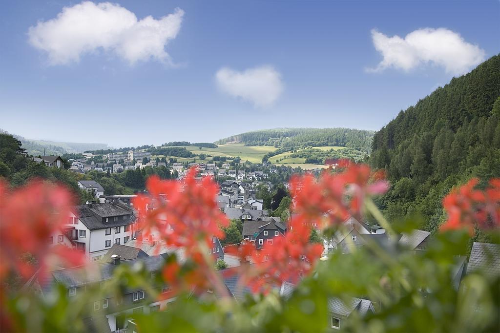 Apartament Cafe Alt Willingen Pokój zdjęcie